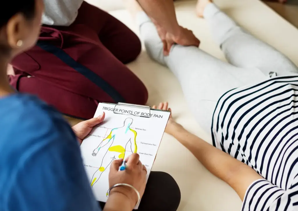 Body Composition & Sarcopenia Assessment